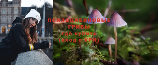 альфа пвп Вяземский