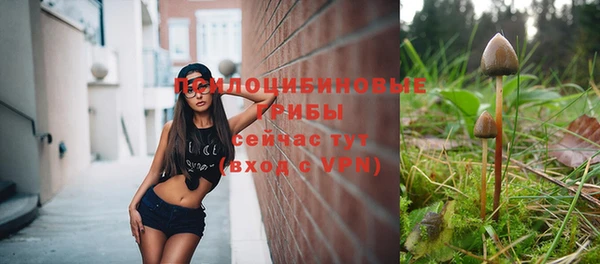 соль курить ск Вязьма