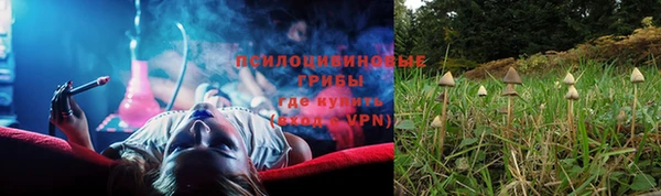 альфа пвп Вяземский